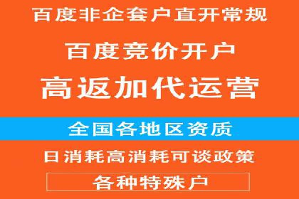 竞价广告的创意与执行：某快消品的营销突破